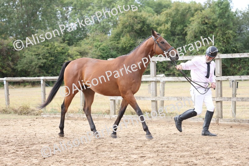 20260831-1913 - Class 5 - Retraining of Racehorses