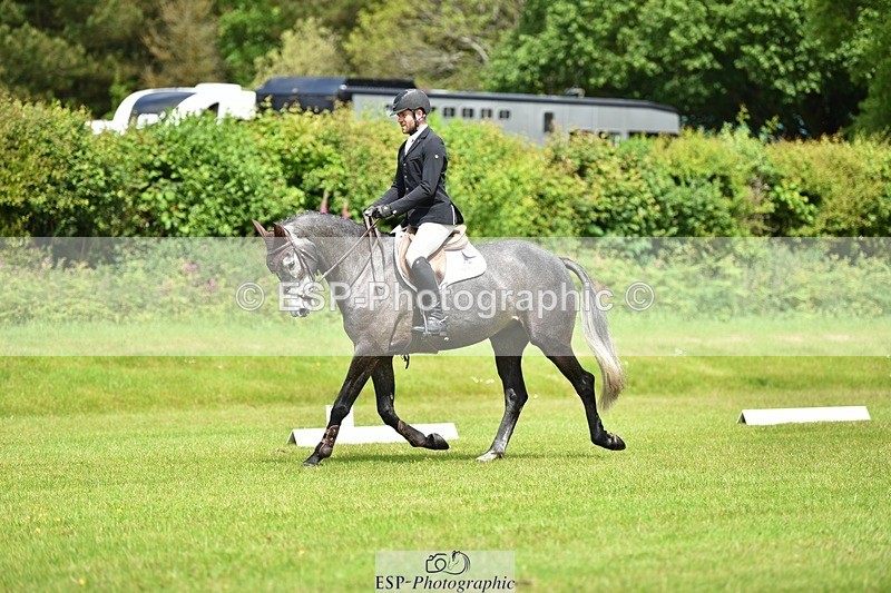 240523B-114250-02051 - 5 Year Old