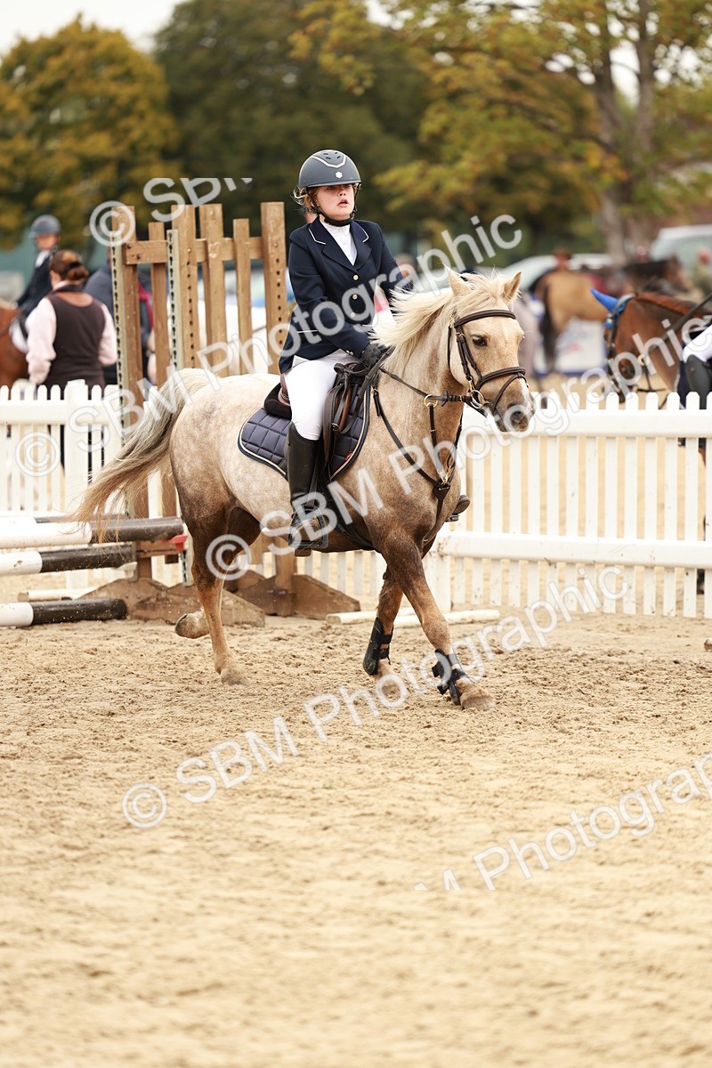 SBM_58012 - J11 - Junior Pony 50cm Championship