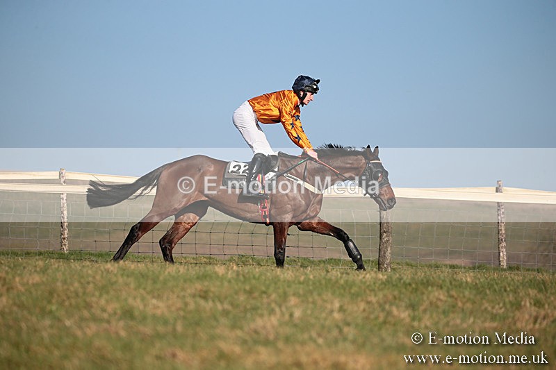 PtP 230219 390 - Vine & Craven Point-To-Point - Barbury 23/02/19