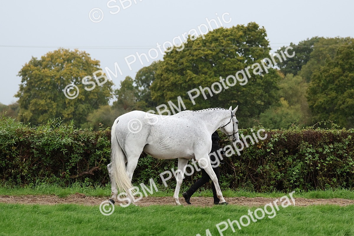 SBM_35237 - S10 - Best In Hand Horse & Pony