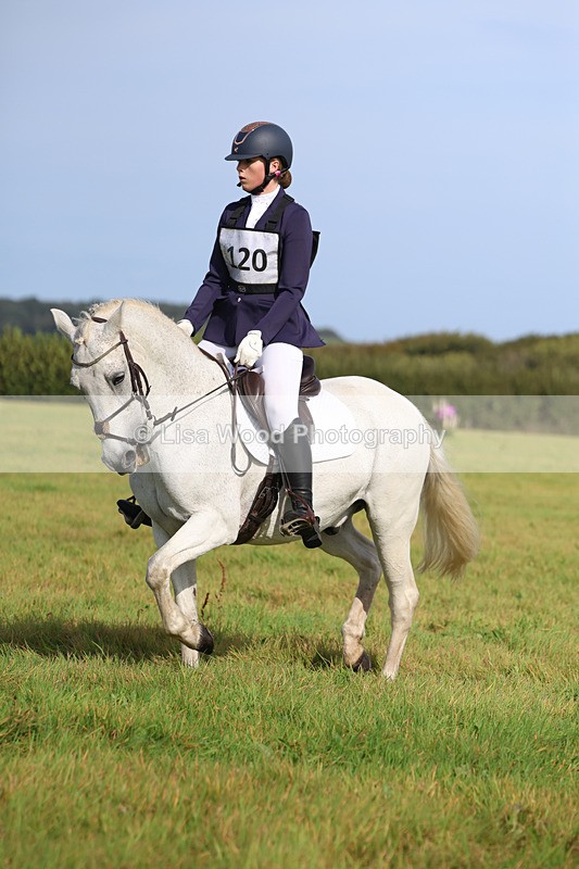 3E7A6233 - Class 1: Trebudannon Open: Dressage (Part 2)