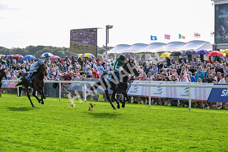060926-Race 4-Stoneacre Donny-0270 - Race 4 3.15pm Saltmoore Collection Handicap