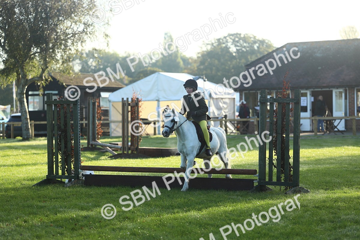 SBM_31771 - S28 - Nursery Stakes Working Hunter Pony