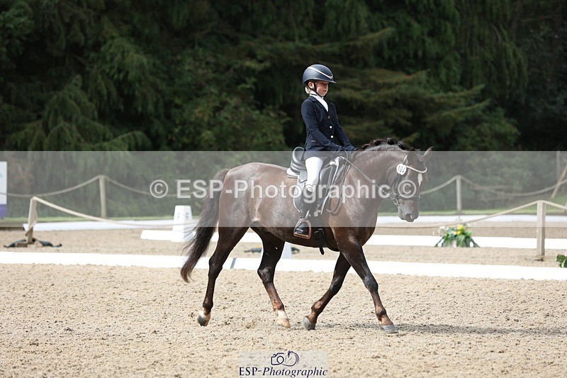 230812-103548-03264 - Cls 5 Novice Bronze Start to 10.55 break