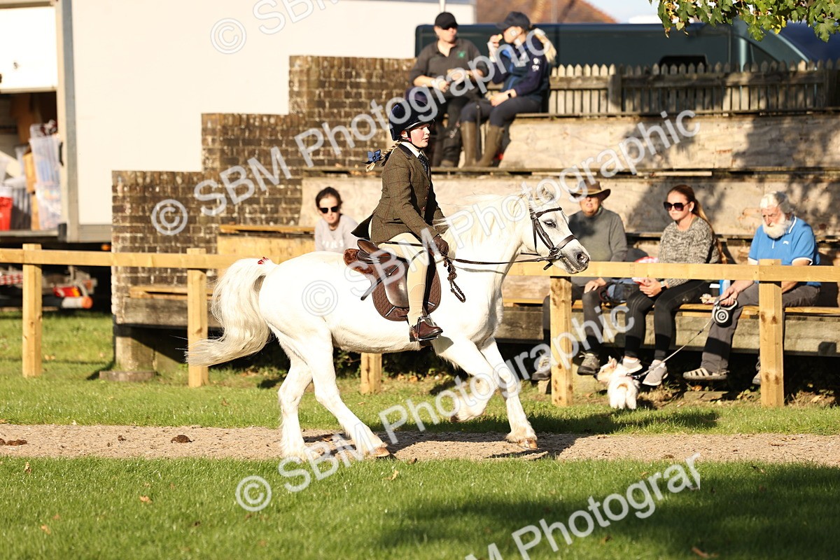 SBM_29452 - S7 - Novice & Newcomers Ridden Pony