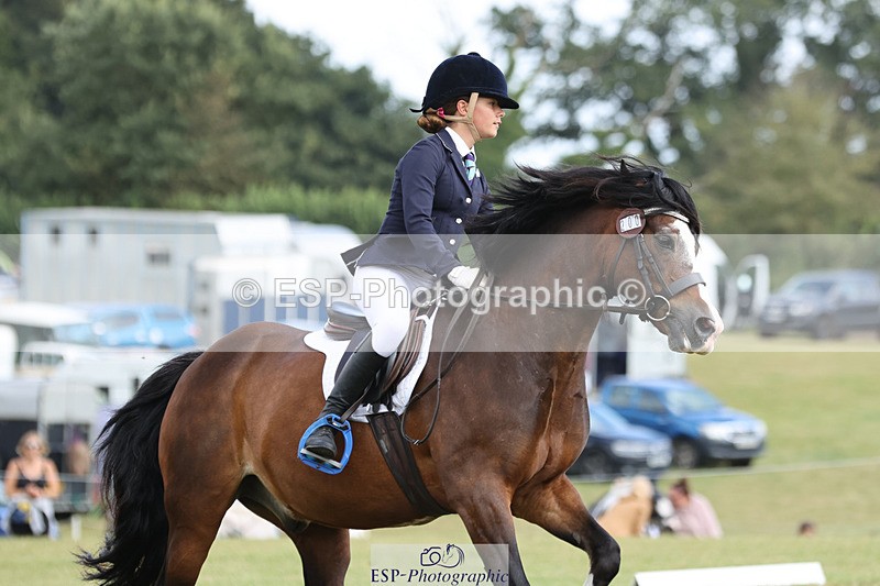 240824X-132156-27297 - D80 Section G and H 12.00 to 13.30