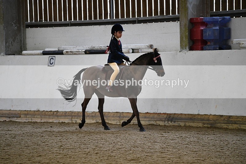 WJ5_6526 - Class 10 Childs Pony