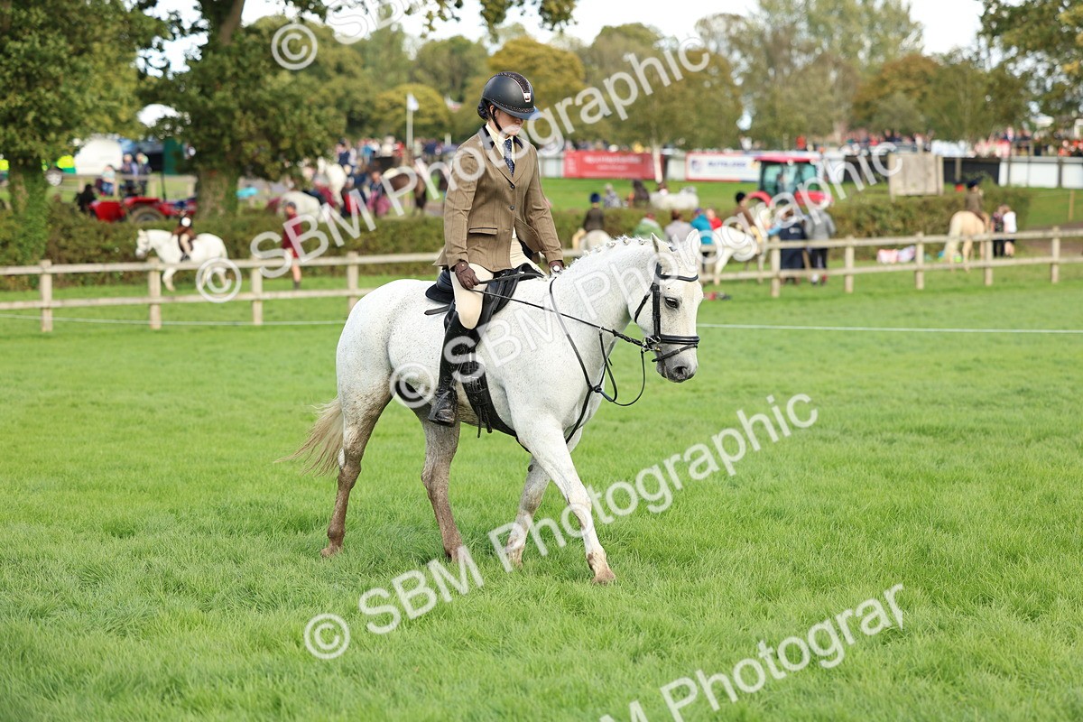 SBM_45525 - S33 - Working Hunter Pony