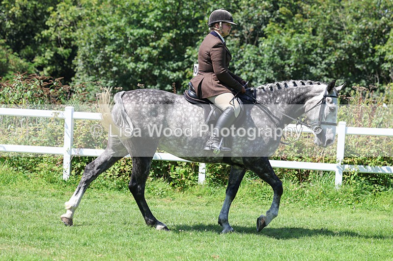 3E7A8928 - Class 6: Open Working Horse