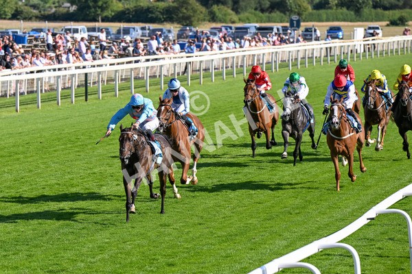 110725-Race 7-Secret Beach-0574 - Race 7 5.40pm William Hill Bet In Running Apprentice Handicap