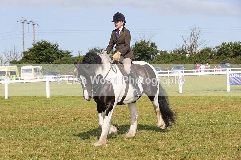 1X9A3155 - Class 27:  Ridden Native/Trad Coloured Horse