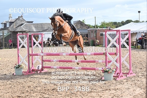 BPP_3488 - CLASS 36 SUN Senior British Novice/ 90cm Open