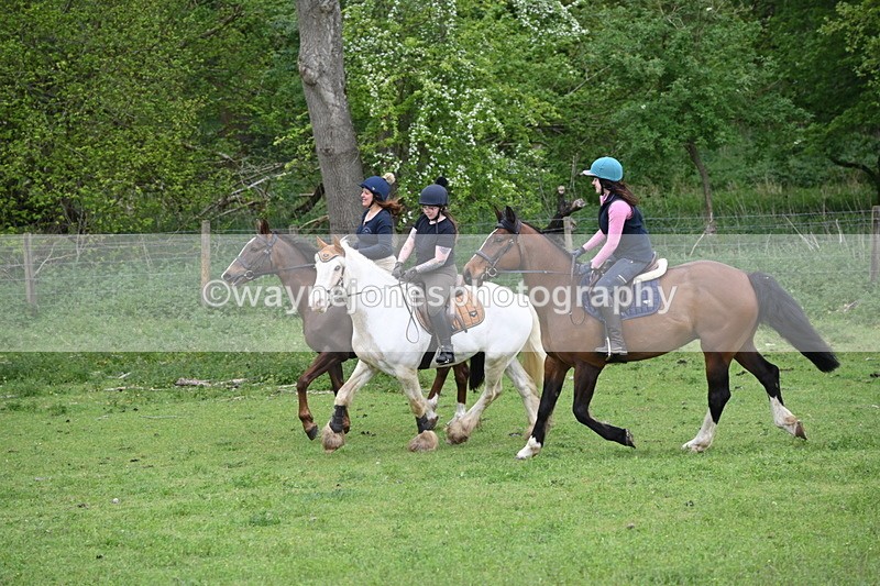 WJ6_3131 - A camera