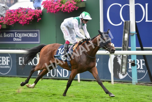 yr20082021r5-29 - Race 5 4.10pm British Stallion Studs EBF Convivial Maiden Stakes (Plus 10 Race)