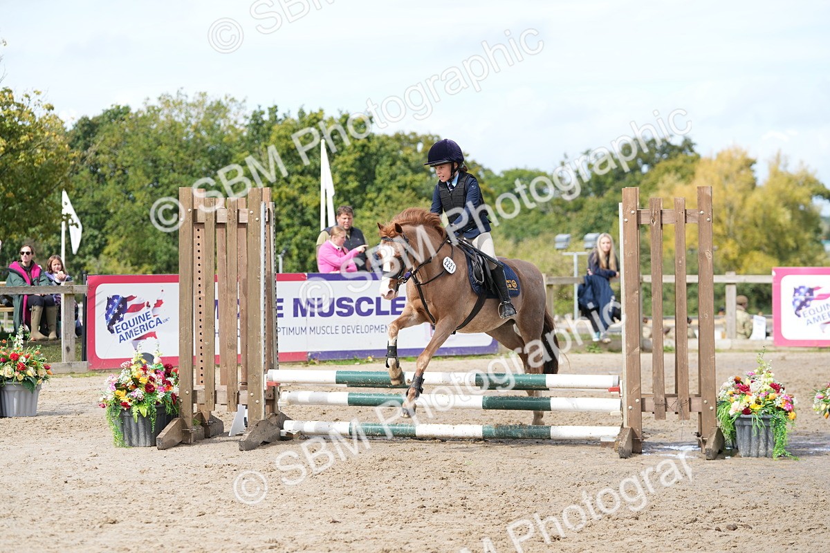 SBM_40745 - Supreme Championship Pony 50-55cm