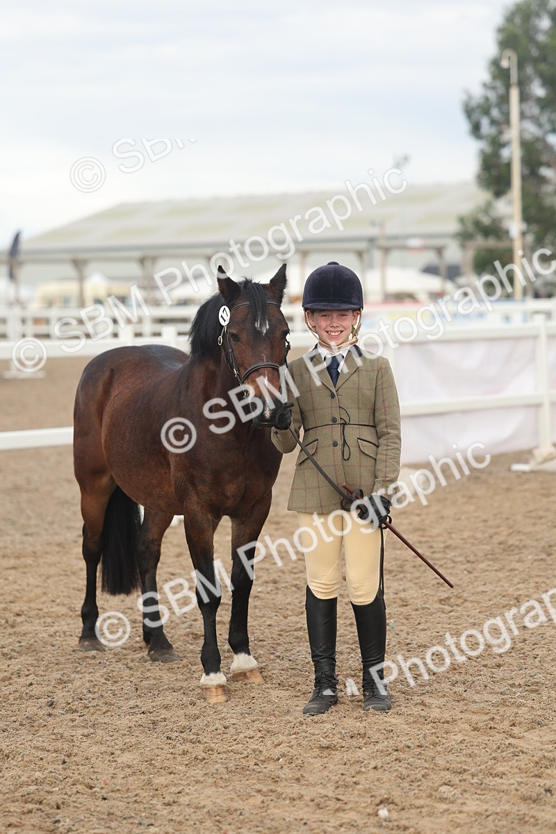 SBM_08551 - Class 29 - IH Veteran Pony