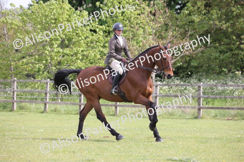 20260426-4339 - Class 34 - Best Riding Horse Over 14.2hh