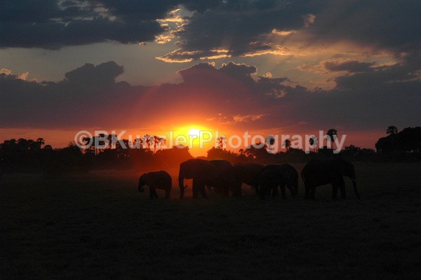  - Africa