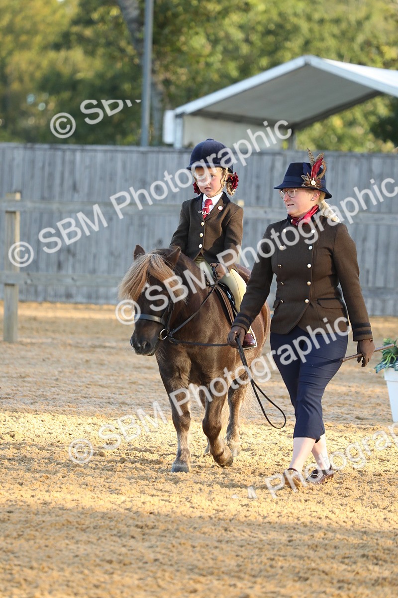 SBM_33527 - D26 - Starers - Lead Rein