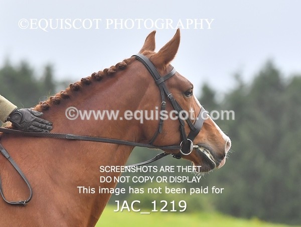 JAC_1219 - CLASS 8 BHS Scotland Riding Club Working Hunter Qualifier (1.00m)