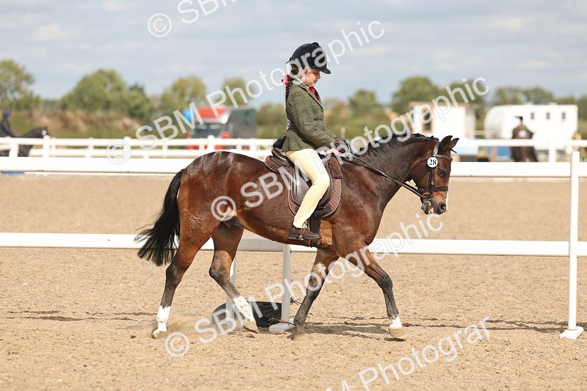 SBM_15872 - Class 310 - First Ridden Pony