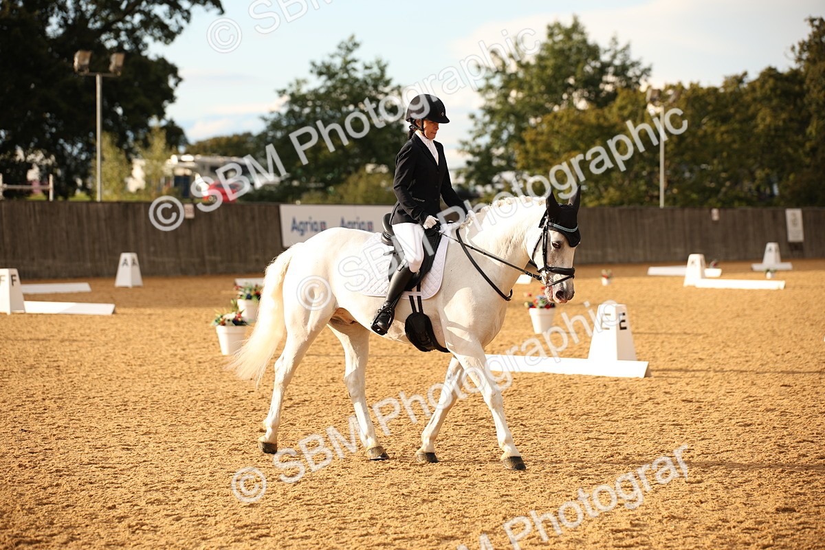 SBM_12422 - D3 Small  Tour Championship Intro A