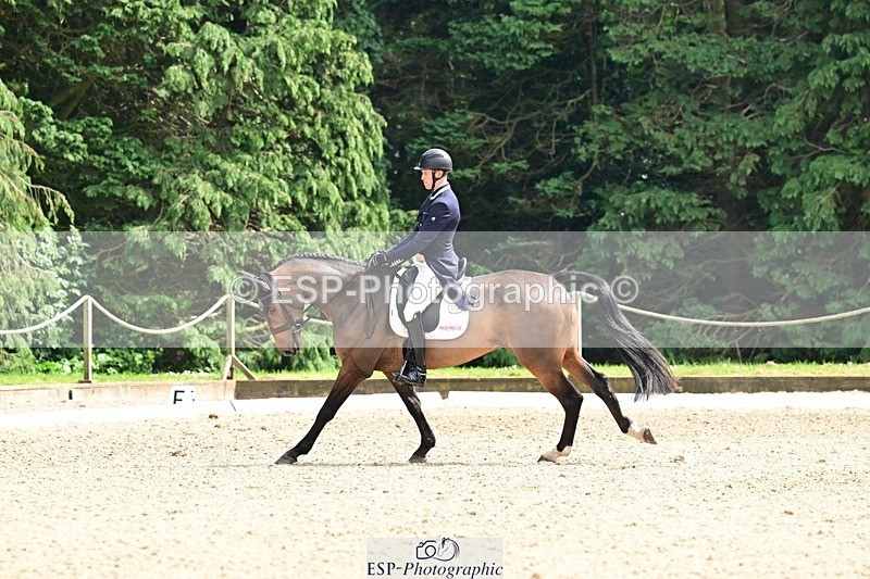 260528A-154157-04333 - C-320-Tom.Rowland