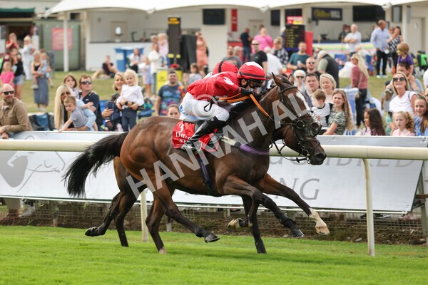 yr04092022p1-41 - 12.30pm 148cm Conditions Pony Race