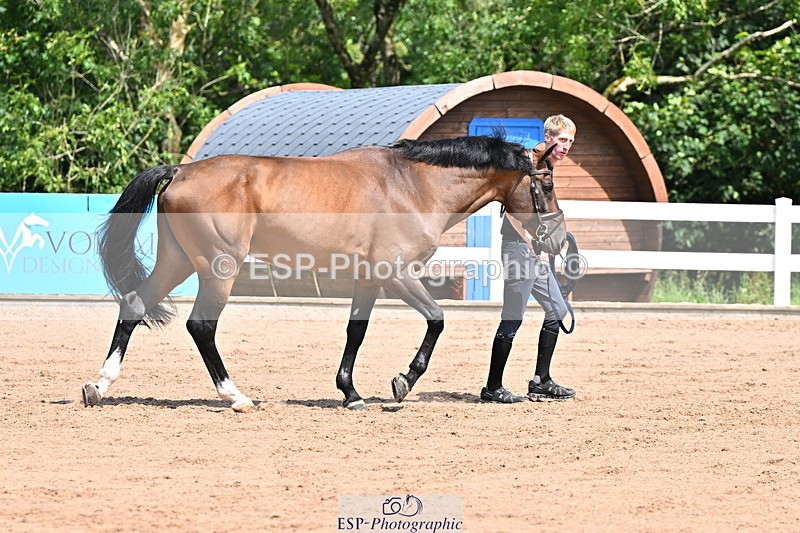 240718A-105241-01018 - Trot Up 11am to 12pm