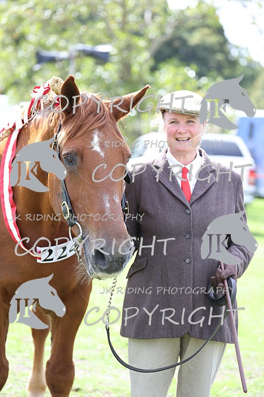 APP_3271 - Class 4 Veterans