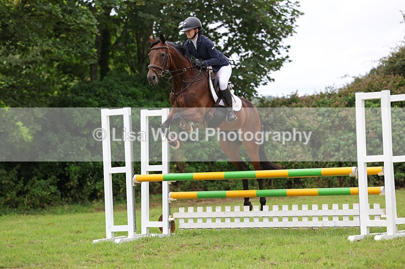 3E7A7262 - Class 5: Senior British Novice/90cm open