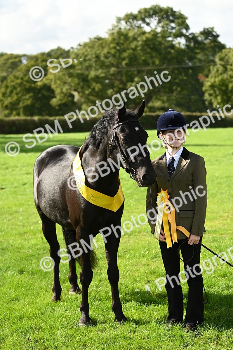 SBM_25055 - S5 - Novice & Newcomer In hand