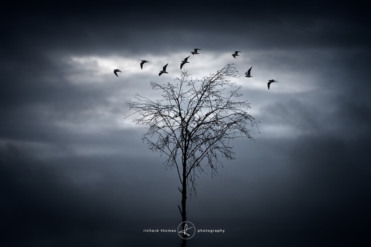 Flight path - Processed