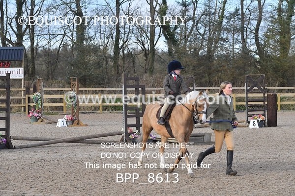 BPP_8613 - TRAINING STAKES