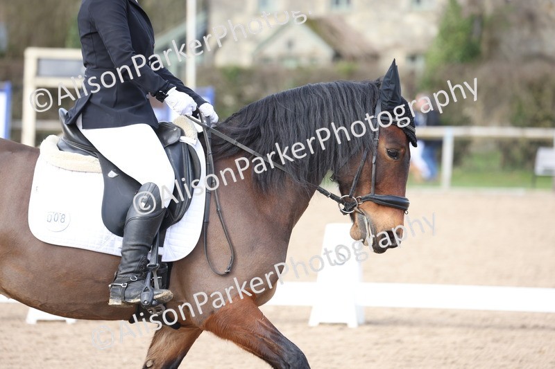 20260301-0834 - Class 5 - Elementary 4