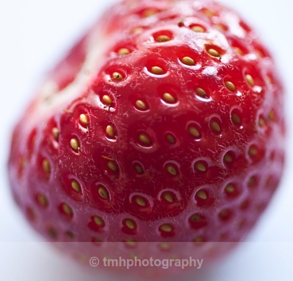 Strawberry. - Still Life / Contemporay Art