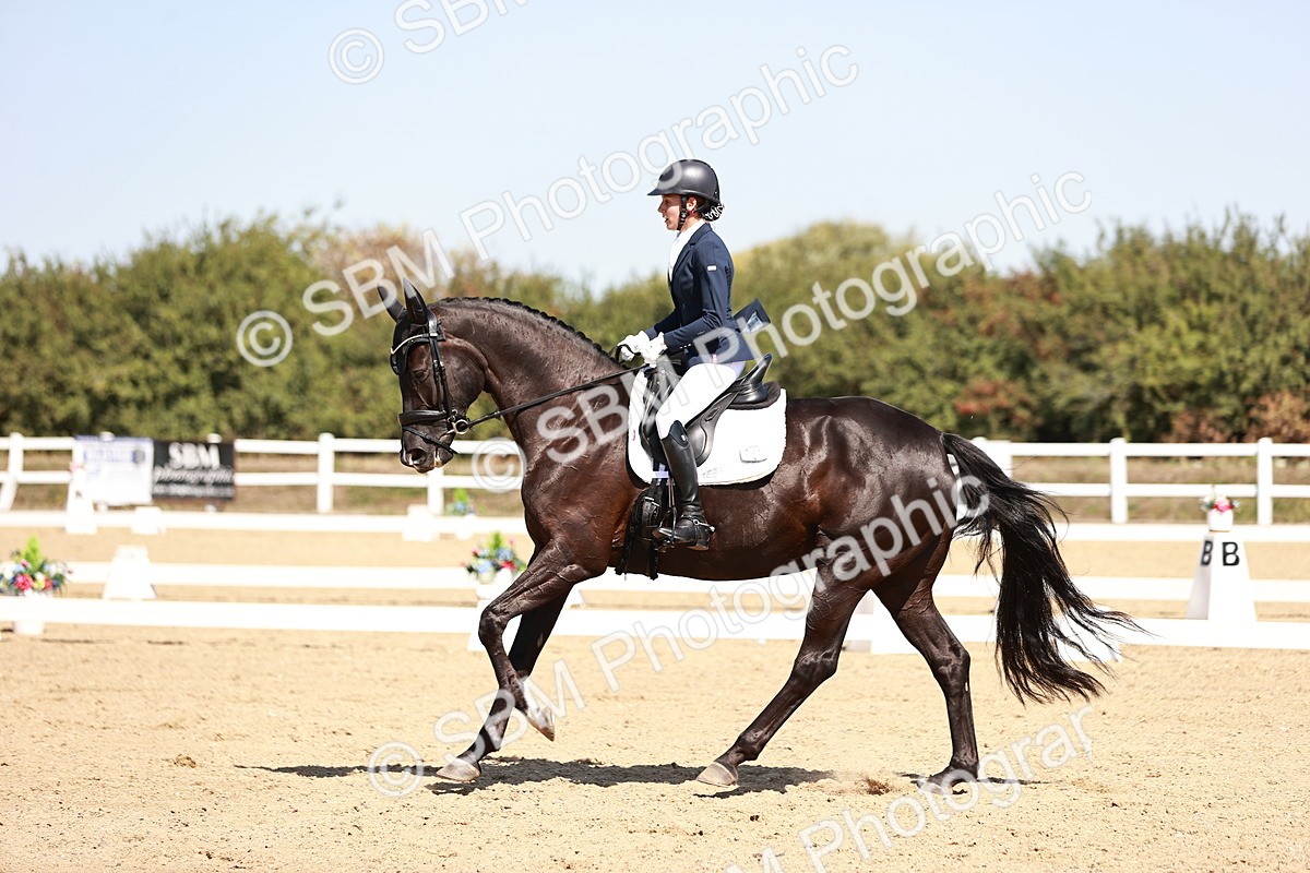 SBM_004873 - Class 12 - Novice 5 - 12.02-12.44