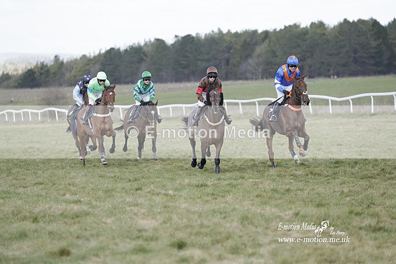 PtP 260223 628 - South & West Wilts Point-to-Point Larkhill 26/02/23