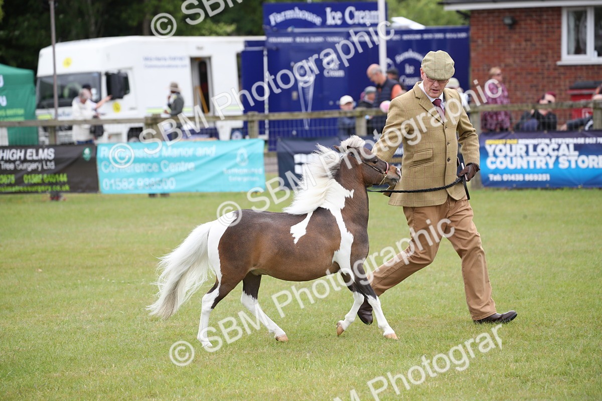 SBM_03983 - Class 23-25 - British Miniature Horse of the Year
