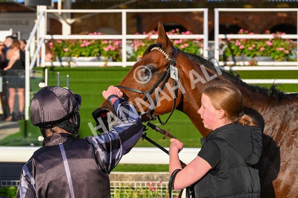 230923-Race 7-Two Brothers-3862 - Race 7 5.30pm Neil Atkinson's 60th Birthday Celebration Handicap