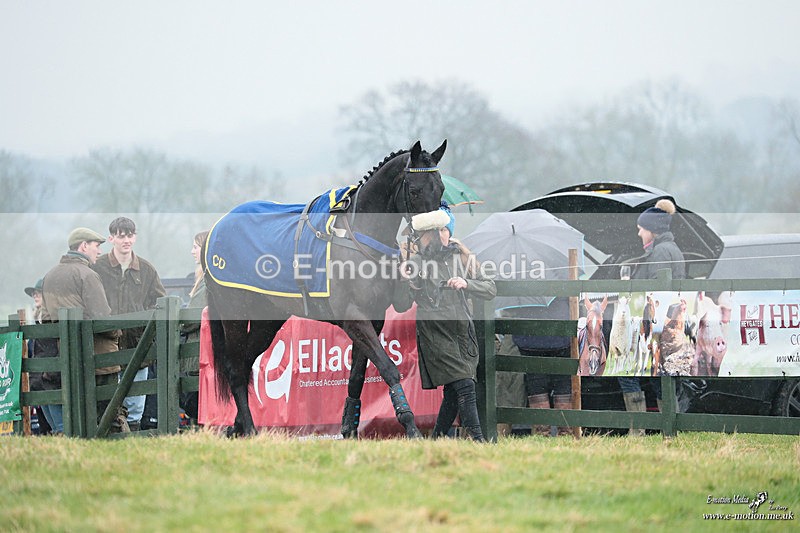 PtP 100324 454 - Pytchley with Woodland Point-to-Point Guilsborough 10/03/24