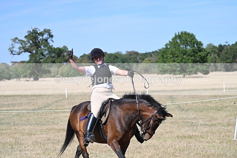 WJ7_1762 - Class 42 Most Handsome Gelding