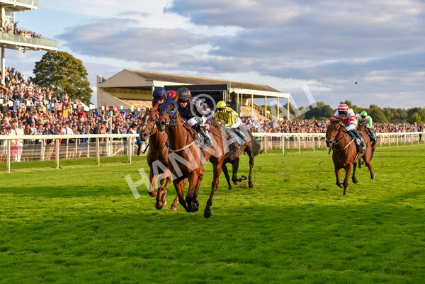 230923-Race 7-Two Brothers-7185 - Race 7 5.30pm Neil Atkinson's 60th Birthday Celebration Handicap