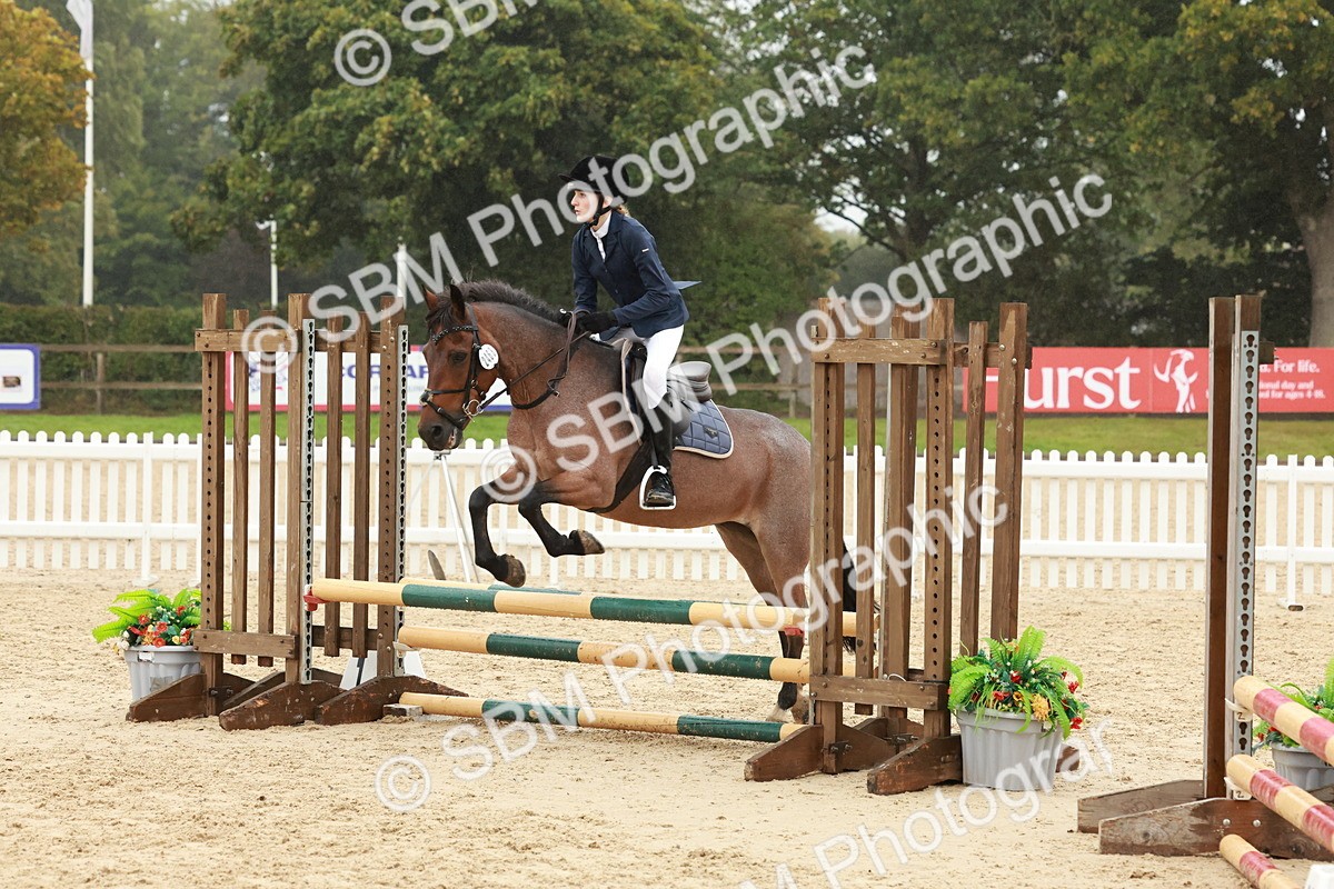 SBM_73268 - Supreme Championship Junior Pony 60cm & 65cm