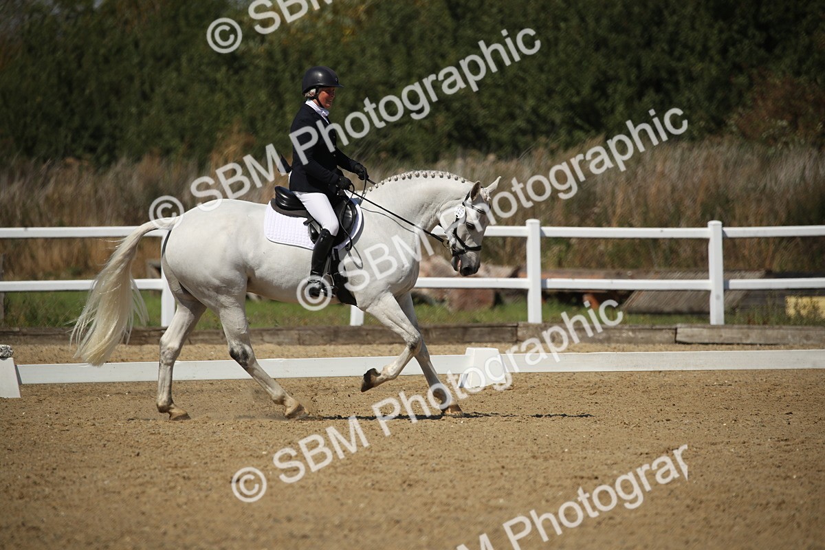 SBM_005031 - Class 11 - Novice 5 - 11.41-12.58