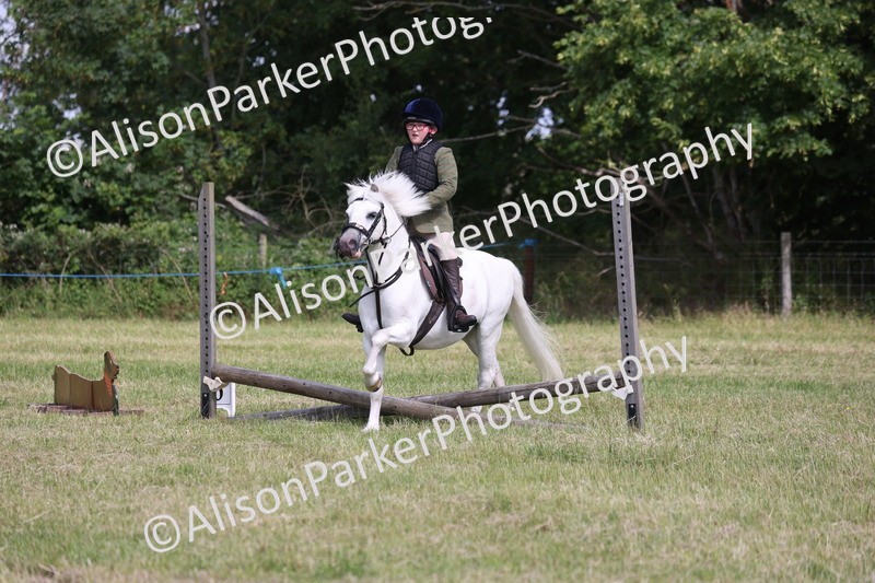 20260614-0719 - Class 20 - Beginners Working Hunter Pony