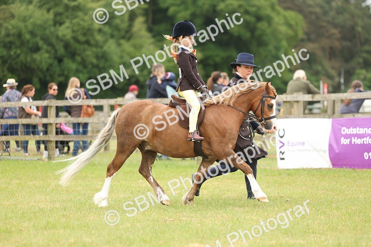 SBM_06721 - Class 74-75 - M&M Lead Rein and First Ridden Pony