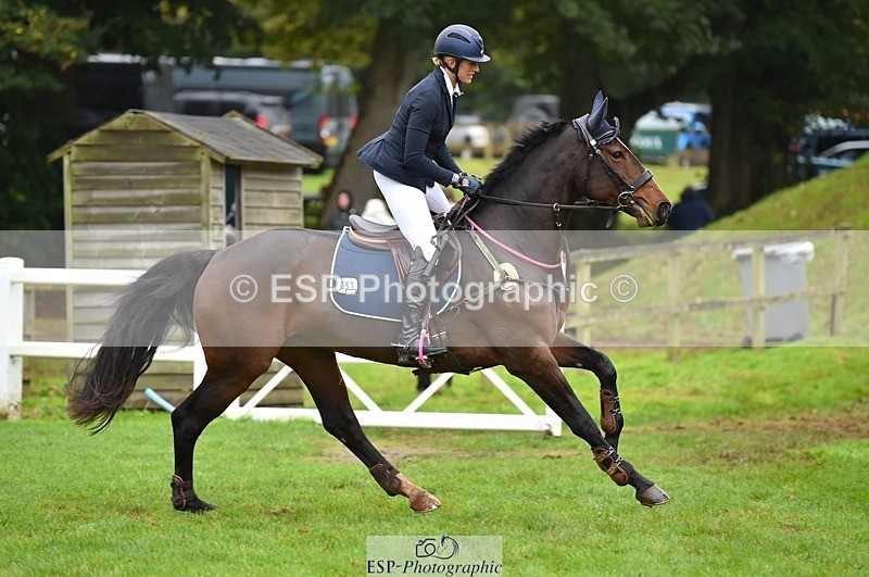 231021-122206-16514 - 057-OVERTON.TILANA'S.GOLD-Claire.Deuten-SJ