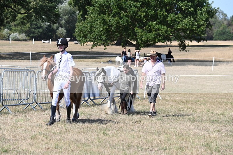 WJ6_9469 - Class 40 Cheekiest Pony/Horse